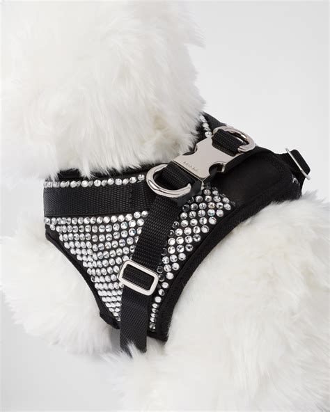 prada pet harness|farfetch prada dog.